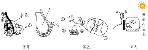 菁優(yōu)網(wǎng)