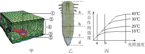 菁優(yōu)網