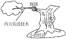 菁優(yōu)網