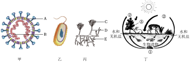 菁優(yōu)網(wǎng)