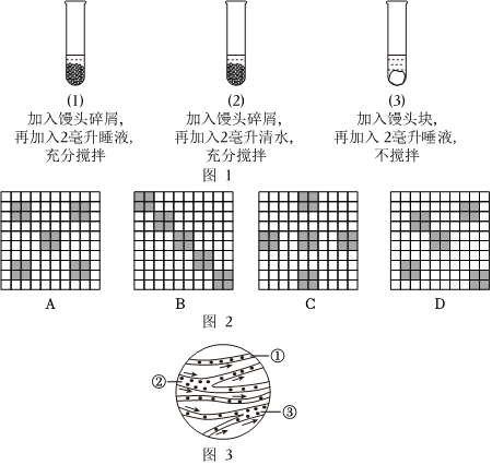 菁優(yōu)網