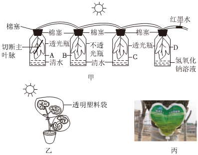 菁優(yōu)網(wǎng)