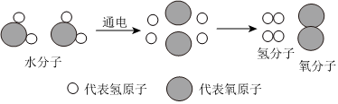 菁優(yōu)網