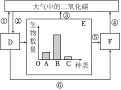 菁優(yōu)網(wǎng)