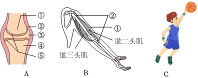 菁優(yōu)網