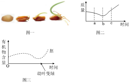 菁優(yōu)網