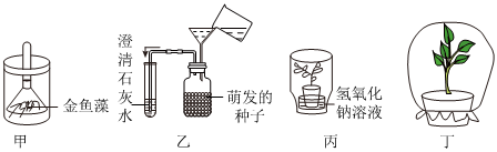 菁優(yōu)網(wǎng)