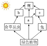 菁優(yōu)網(wǎng)