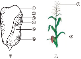 菁優(yōu)網