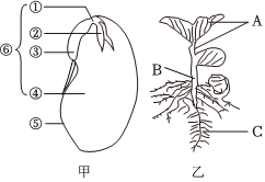 菁優(yōu)網