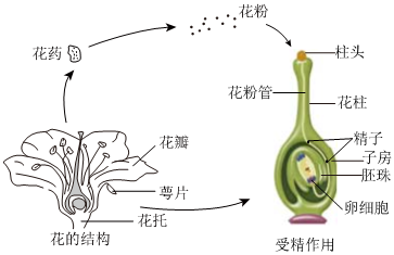 菁優(yōu)網