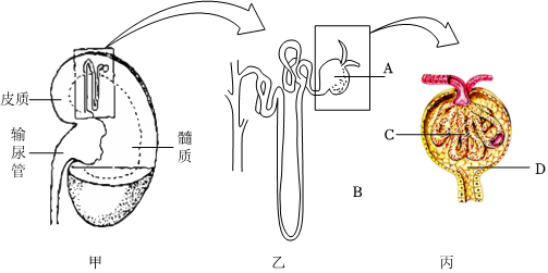 菁優(yōu)網(wǎng)