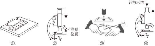 菁優(yōu)網