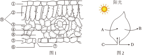 菁優(yōu)網(wǎng)