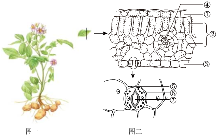 菁優(yōu)網