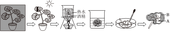 菁優(yōu)網(wǎng)