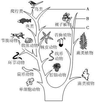 菁優(yōu)網