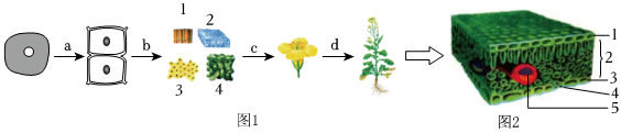 菁優(yōu)網