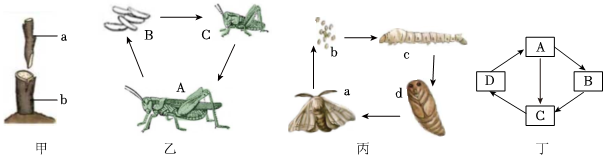 菁優(yōu)網