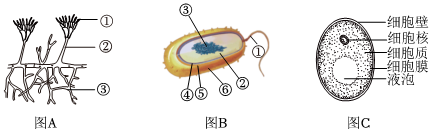 菁優(yōu)網