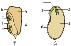 菁優(yōu)網