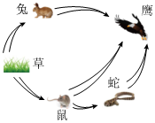 菁優(yōu)網