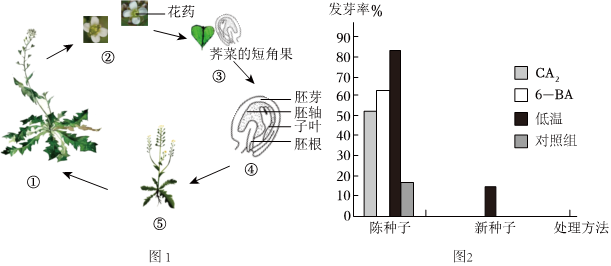 菁優(yōu)網