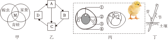 菁優(yōu)網(wǎng)