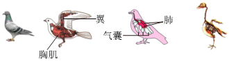 菁優(yōu)網