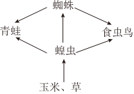 菁優(yōu)網(wǎng)