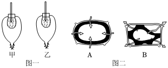 菁優(yōu)網(wǎng)