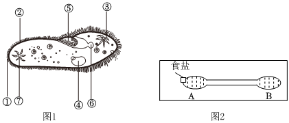 菁優(yōu)網