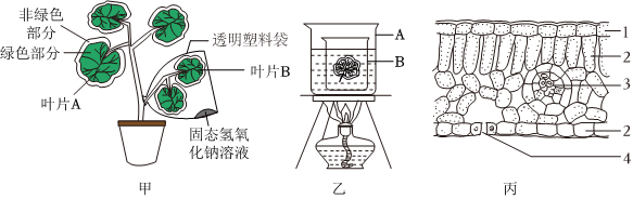 菁優(yōu)網(wǎng)