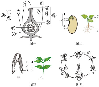 菁優(yōu)網