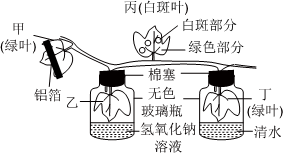 菁優(yōu)網(wǎng)