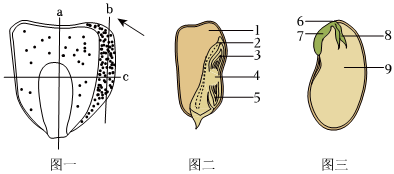 菁優(yōu)網