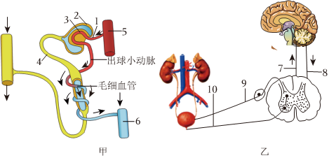 菁優(yōu)網(wǎng)