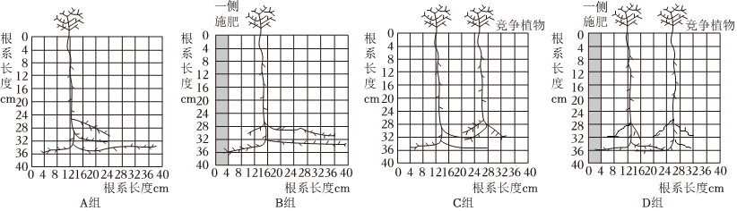 菁優(yōu)網