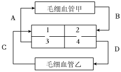 菁優(yōu)網(wǎng)