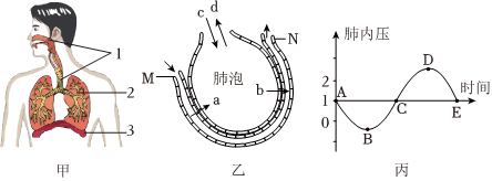 菁優(yōu)網(wǎng)