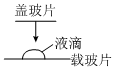 菁優(yōu)網