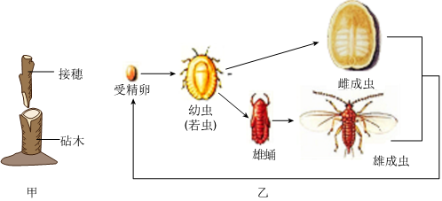 菁優(yōu)網