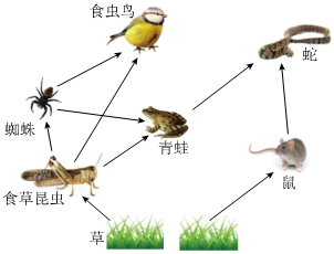 菁優(yōu)網