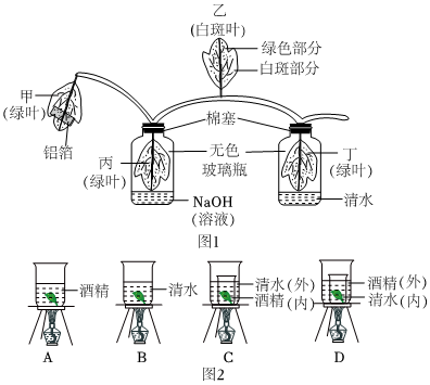 菁優(yōu)網(wǎng)