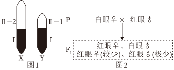 菁優(yōu)網