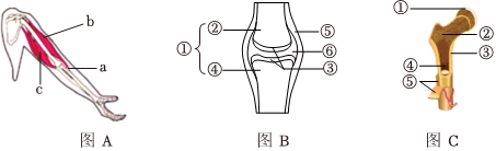 菁優(yōu)網