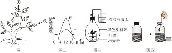 菁優(yōu)網