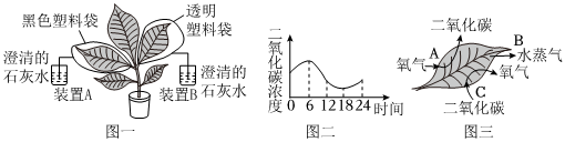 菁優(yōu)網(wǎng)