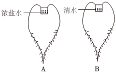 菁優(yōu)網(wǎng)