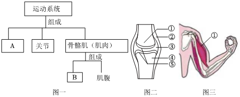 菁優(yōu)網